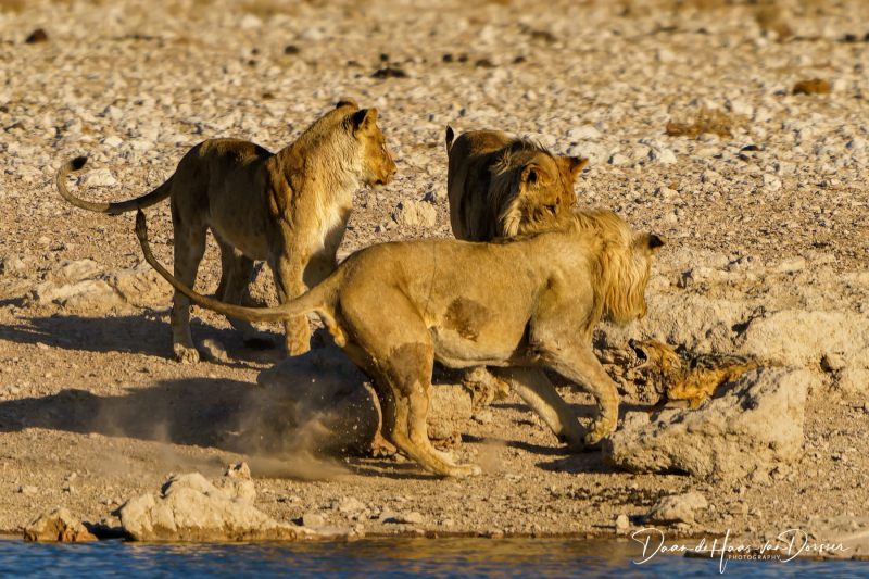 Botswana-Namibie-0024