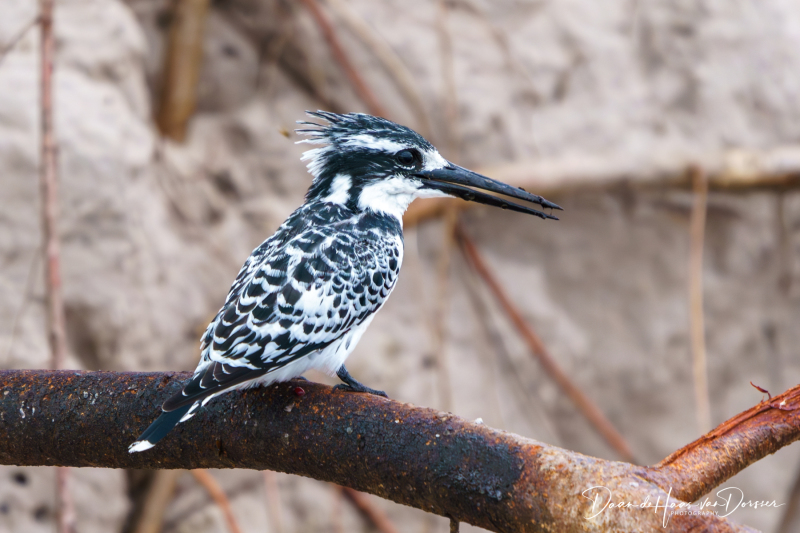 Botswana-Namibie-0046