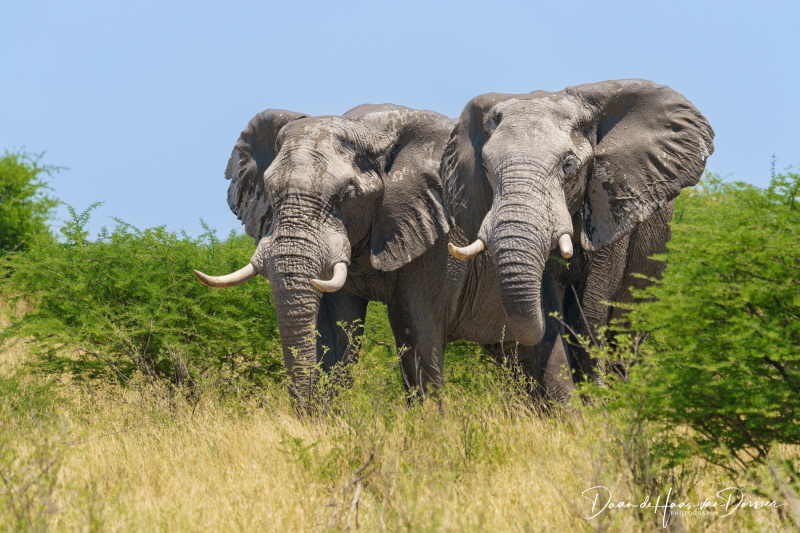 Botswana-Namibie-0100