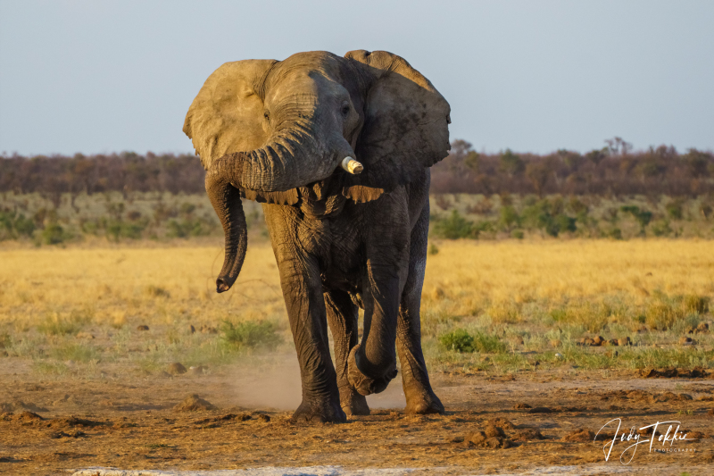 Botswana-Namibie-0169